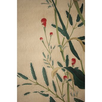 三宅竜子/三宅花圃 肉筆絹本掛軸 稲并草花之図　Z258 