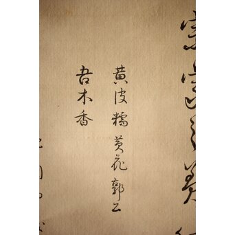 三宅竜子/三宅花圃 肉筆絹本掛軸 稲并草花之図　Z258 