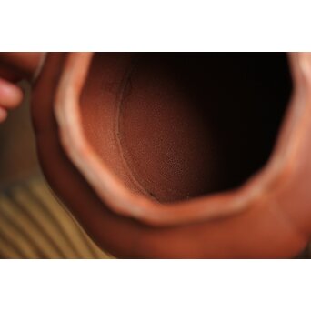 紅雨刻 漢詩梅紋朱泥急須 獅子摘 中国宜興 茶壺　P260 