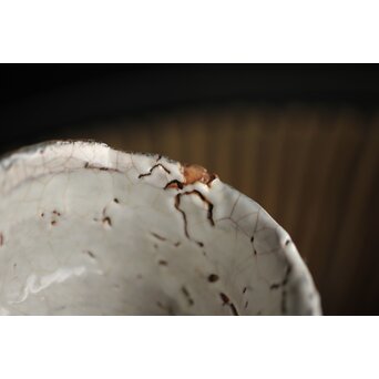 宇田川抱青 白萩ぐい呑 共箱　P261 