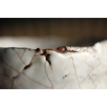 宇田川抱青 白萩ぐい呑 共箱　P261 