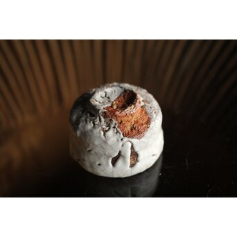 宇田川抱青 白萩ぐい呑 共箱　P261 