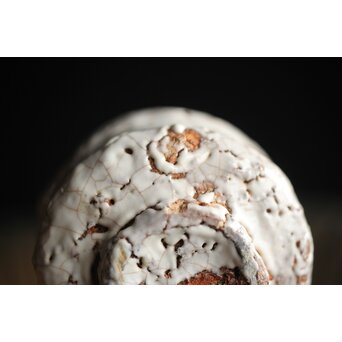 宇田川抱青 白萩ぐい呑 共箱　P261 