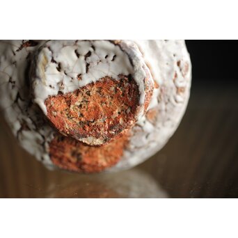 宇田川抱青 白萩ぐい呑 共箱　P261 