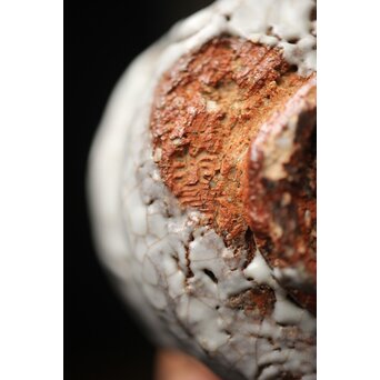 宇田川抱青 白萩ぐい呑 共箱　P261 