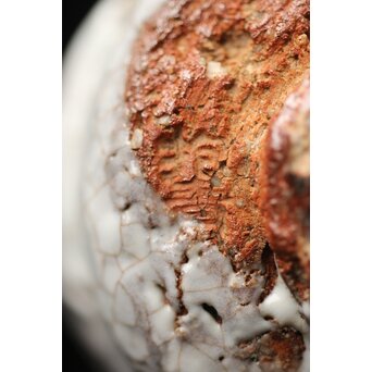 宇田川抱青 白萩ぐい呑 共箱　P261 