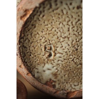 人間国宝 島岡達三 益子象嵌縄文 急須/汲出/湯呑/茶器揃　P263 