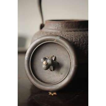 龍文堂 豆鉄瓶 小鉄瓶　M276 