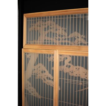 富士 書院欄間 5枚1組　R0127 