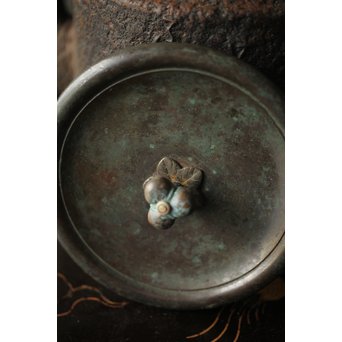 龍文堂 安之介造 道安形 鉄瓶 湯沸 共箱　M279 