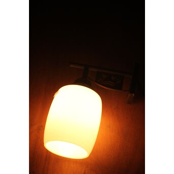 波千鳥 ブラケット壁付照明　A2072 