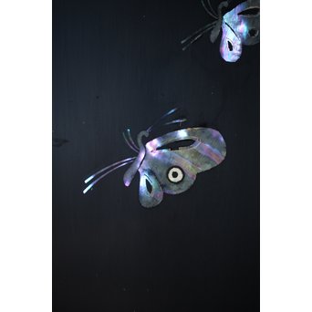 柳畔居古拙/梶古拙 青貝菊 宝石箱　Q281 