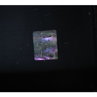 柳畔居古拙/梶古拙 青貝菊 宝石箱　Q281 