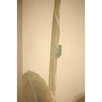 倣 小川芋銭 [芭蕉蛙図] 紙本 掛軸　Z271 