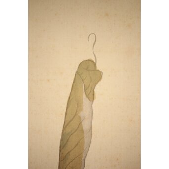 倣 小川芋銭 [芭蕉蛙図] 紙本 掛軸　Z271 