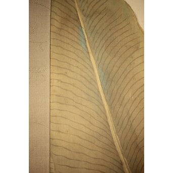 倣 小川芋銭 [芭蕉蛙図] 紙本 掛軸　Z271 