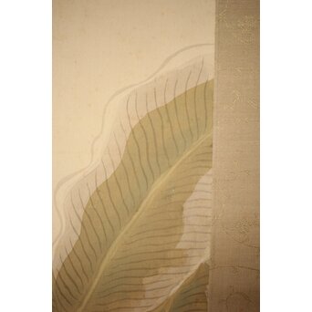 倣 小川芋銭 [芭蕉蛙図] 紙本 掛軸　Z271 