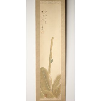 倣 小川芋銭 [芭蕉蛙図] 紙本 掛軸　Z271 