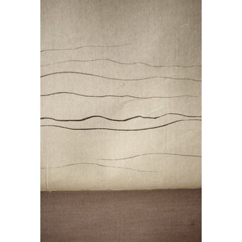 倣 田中一村/米邨 翡翠図 軸装　Z272 