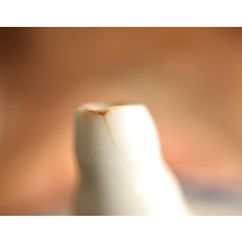 清水七兵衛 青華秋草染付急須　P303 