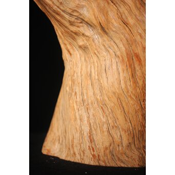 自然木 花器 花入　X319 