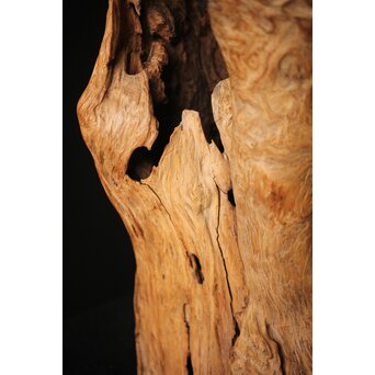 自然木 花器 花入　X319 