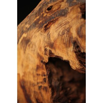 自然木 花器 花入　X319 