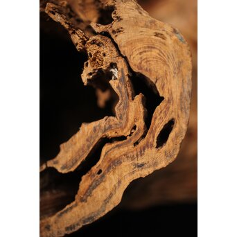 自然木 花器 花入　X319 