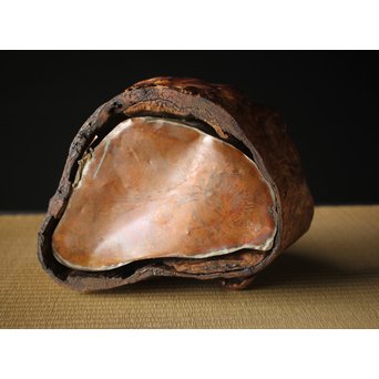 瘤木 自然木の瓶掛/煎茶盆　X320 