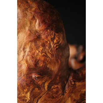 瘤木 自然木の瓶掛/煎茶盆　X320 