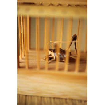 山田竹遊 竹虫籠香合　U266 