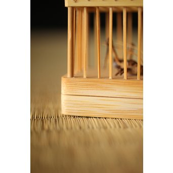 山田竹遊 竹虫籠香合　U266 