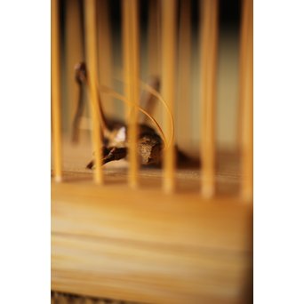 山田竹遊 竹虫籠香合　U266 