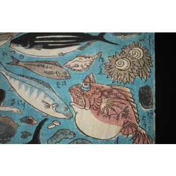 魚介類 木版画　Z276 