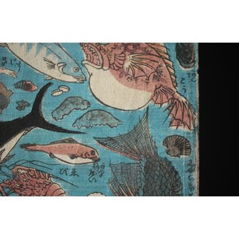 魚介類 木版画　Z276 