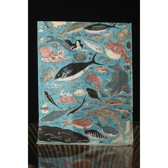 魚介類 木版画　Z276 