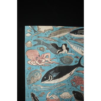 魚介類 木版画　Z276 