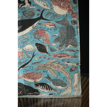 魚介類 木版画　Z276 