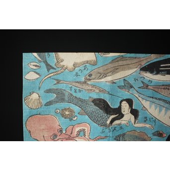 魚介類 木版画　Z276 