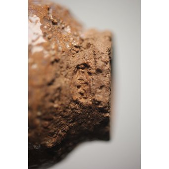 十代 三輪休雪 萩焼盃 共箱　P311 