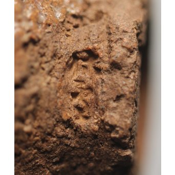 十代 三輪休雪 萩焼盃 共箱　P311 