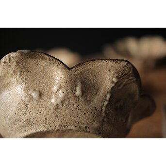 絵瀬戸か 百合形向付 5客　P315 