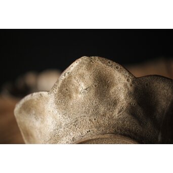 絵瀬戸か 百合形向付 5客　P315 