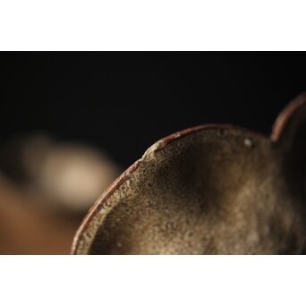 絵瀬戸か 百合形向付 5客　P315 