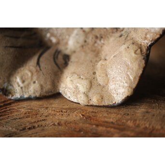 絵瀬戸か 百合形向付 5客　P315 