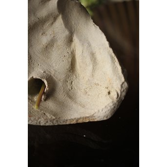 古瀬戸 水注陶片 一輪挿し 3個1組　P318 