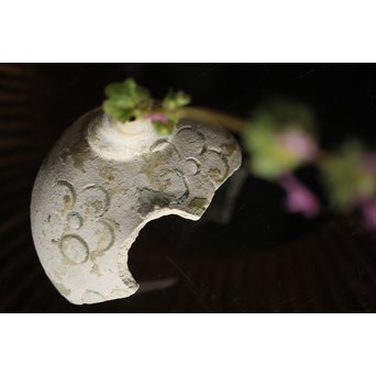 古瀬戸 水注陶片 一輪挿し 3個1組　P318 