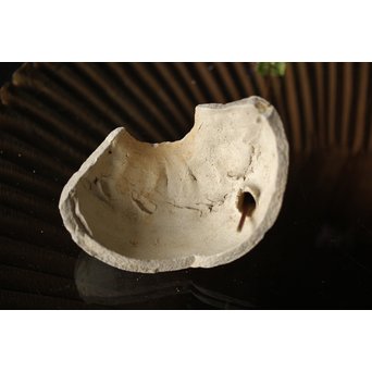 古瀬戸 水注陶片 一輪挿し 3個1組　P318 