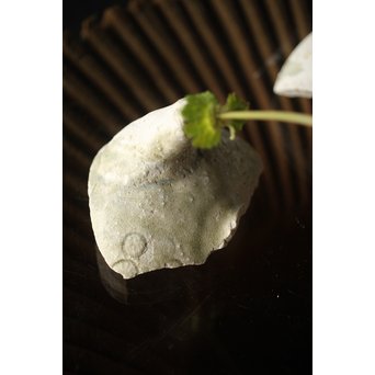 古瀬戸 水注陶片 一輪挿し 3個1組　P318 