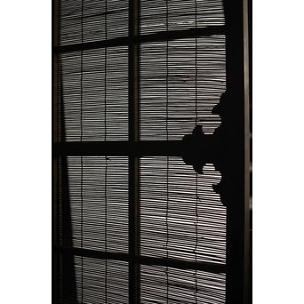 簀戸 3枚1組　F238 